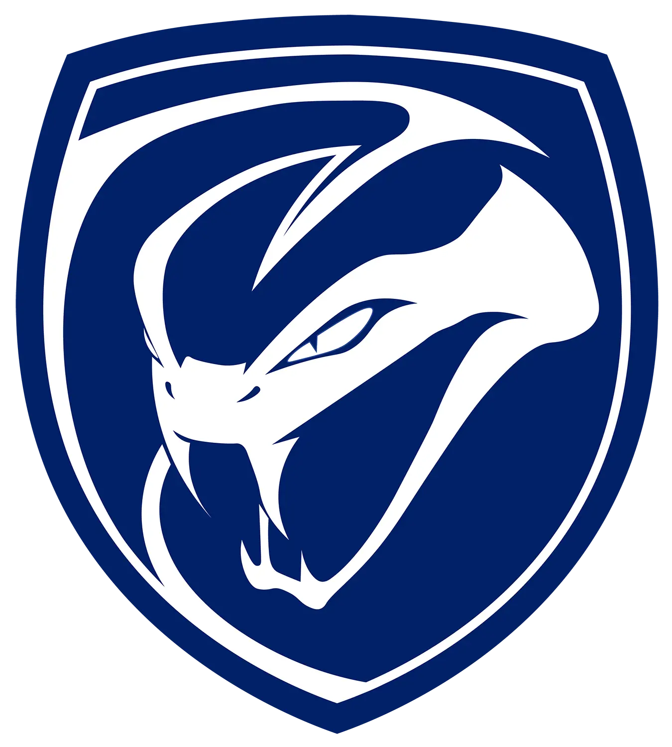 Pitts Vipers crest at BISR